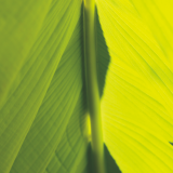 Un joli été 2014 !